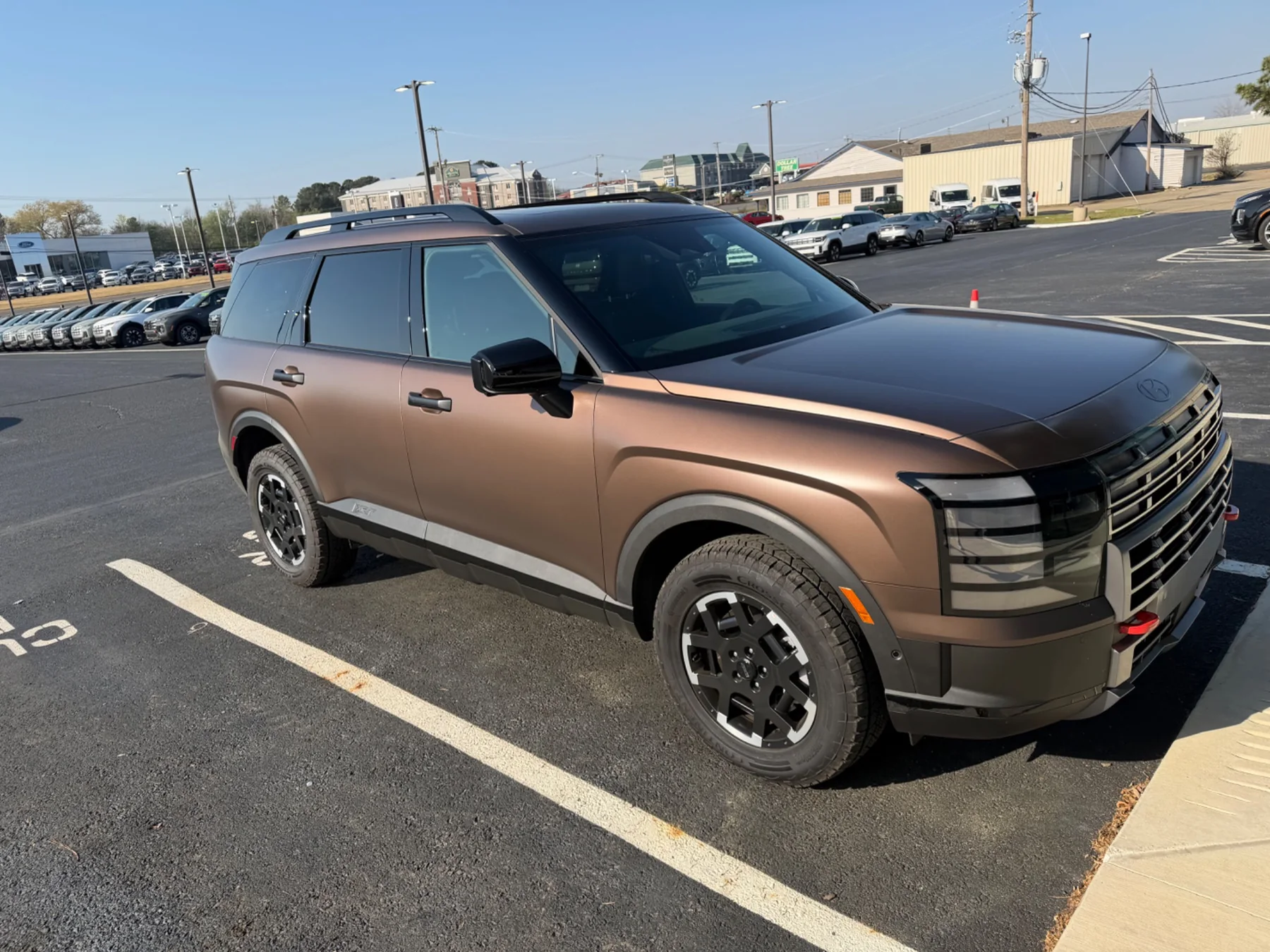 Bronze matte Hyundai after specialty finish care
